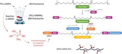 Polyester urethane urea (PEUU) functionalization for enhanced anti-thrombotic performance: advancing regenerative cardiovascular devices through innovative surface modifications